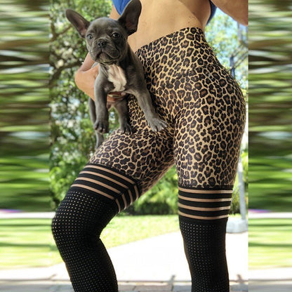 Ironfit - Leo Leggings