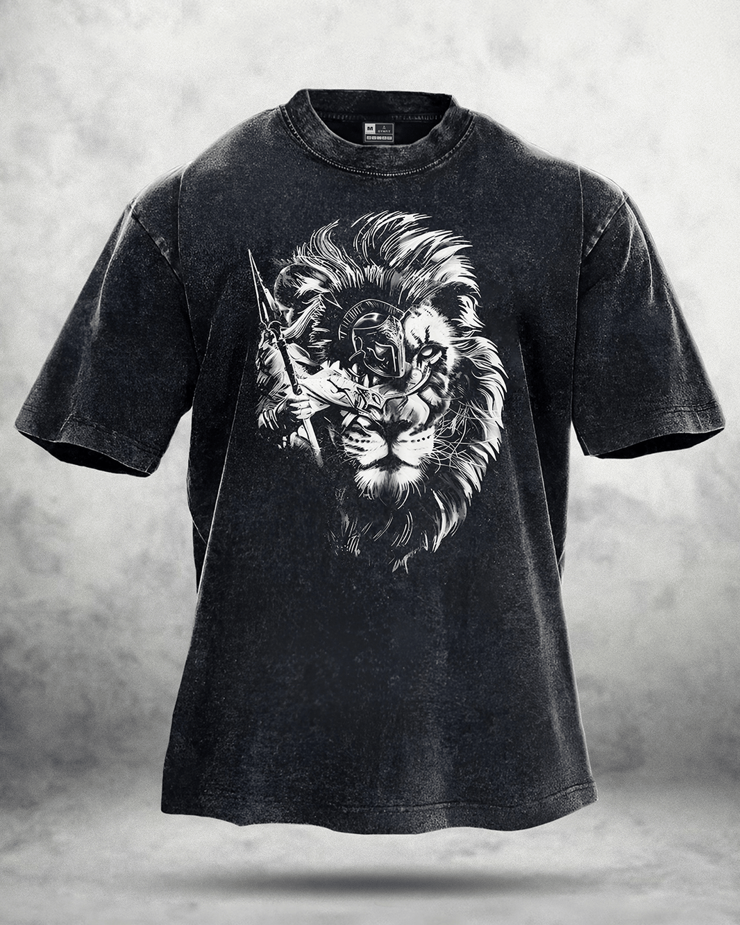 LION SPARTAN WASHED T-SHIRT - Gymfit