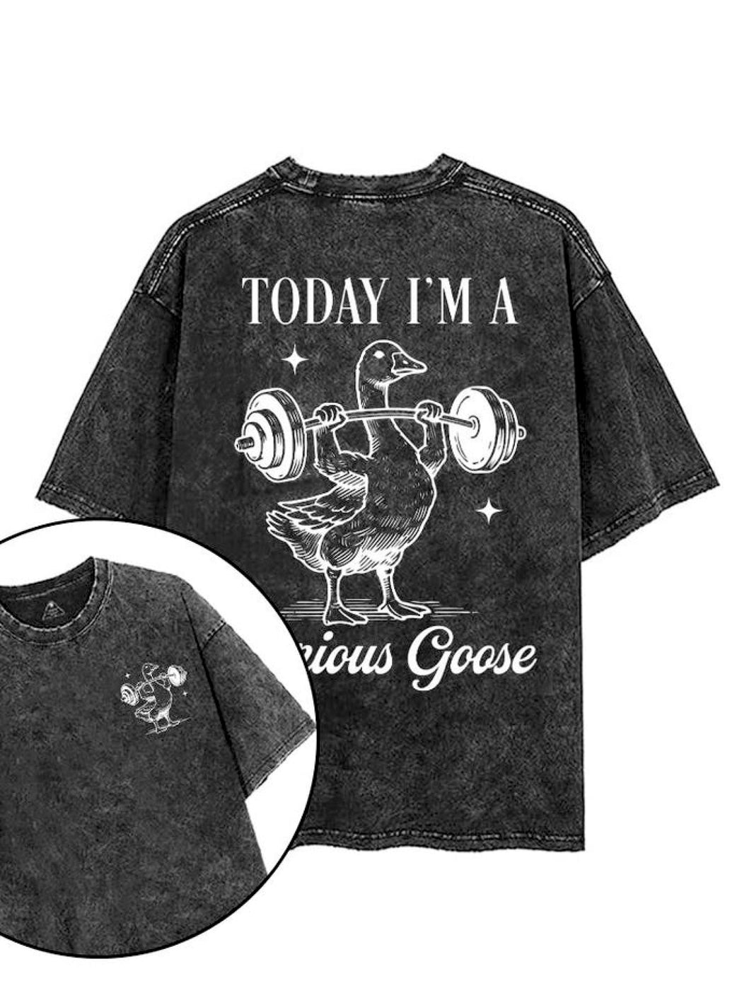 TODAY I AM WEARING A SERIOUS GOOSE T-SHIRT - Gymfit